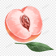 手机火星直播电视app免费版APP应用