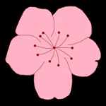 WWW,101se·COM网站APPAPP应用