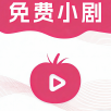 路人甲影视永久免费版